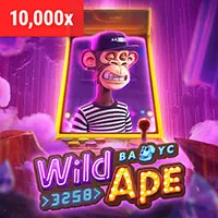 Mẹo chơi máy đánh bạc hiệu quả tại Win55