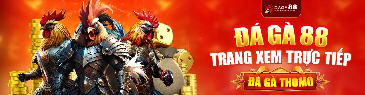 Sân đấu đá gà trực tuyến Win55 với không khí sôi động